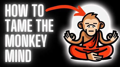 Stop Feeding The Monkey Mind 3 Ways To Quiten Your Mind Youtube