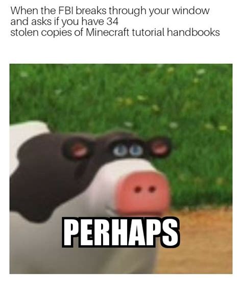 Perhaps Meme
