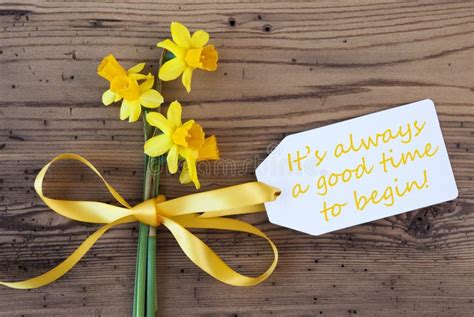 Yellow Spring Narcissus Label Quote Always Good Time Begin Stock