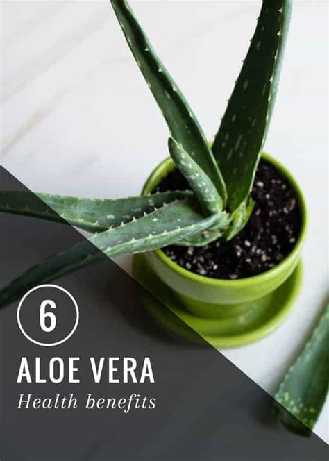 While there are limited scientific studies on the benefits of aloe for canker sores, it's safe to use it, according to the national center for complementary and integrative health. 6 Aloe Vera Health Benefits | HelloGlow.co