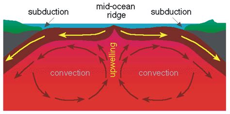 A Shift To Plate Tectonics The Emergence And Evolution Of Plate