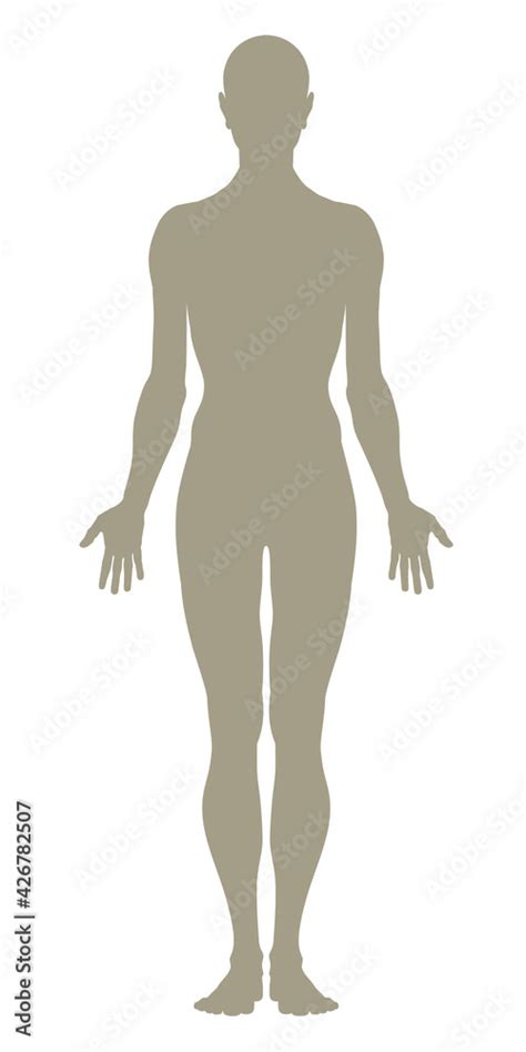 Model Of The Human Body Hand Drawn Gender Neutral Figure Silhouette