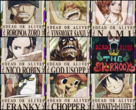 Top 25 Highest Bounties In One Piece Ranked Beebom