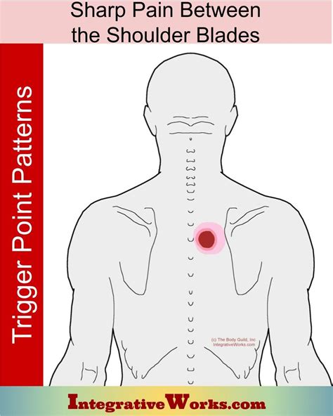 Pin On Breathing Trigger Point Pain