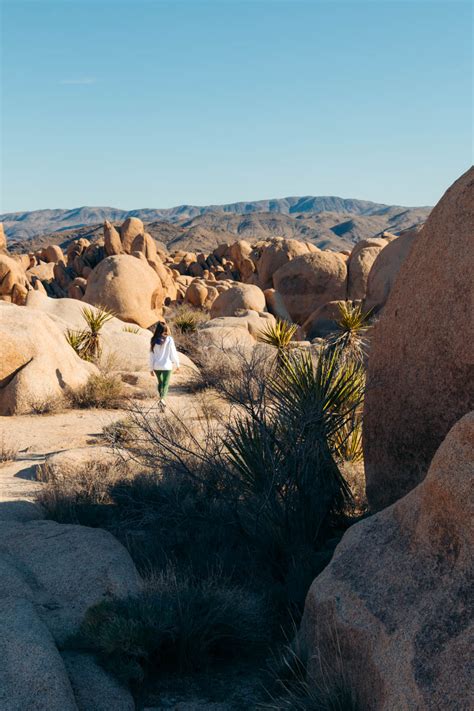 Weekend In Joshua Tree National Park Guide And 1 To 2 Day Itinerary