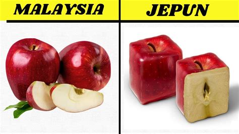 Fakta Menarik Jepun Yang Mungkin Korang Tak Tahu Fakta Menarik Pasal
