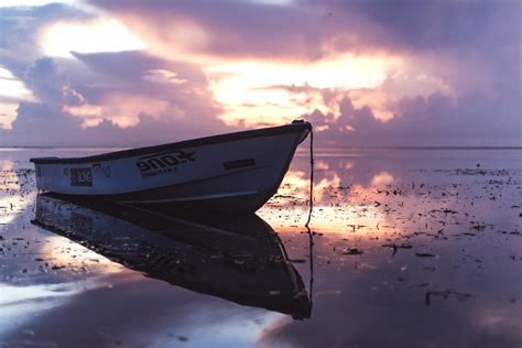 Boat Shore Evening Pink Sky Free Image Download