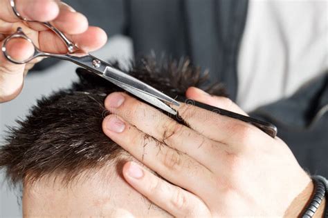 Men S Haircut With Scissors At Salon Stock Image Image Of Adult