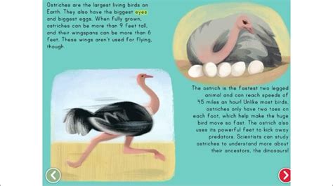 Flightless Birds Kids Story Book Read Aloud Children Story Learn