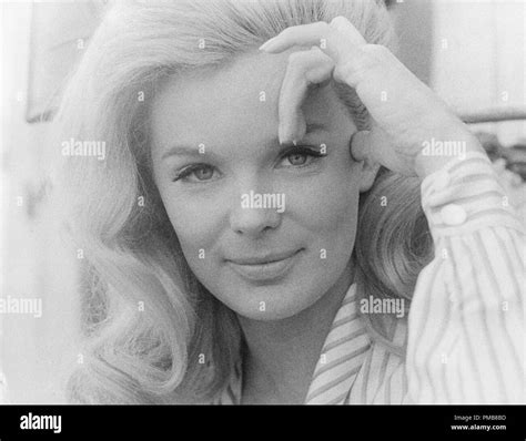 Linda Evans The Big Valley 1965 1969 Abc File Reference 32337
