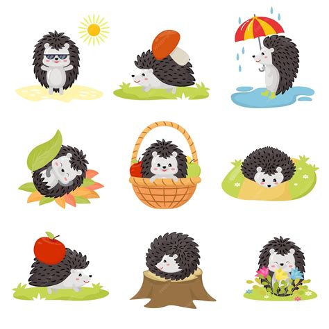 Premium Vector Vector Illustration Of Cute Cartoon Hedgehogs
