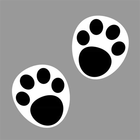 Panda Bear Paw Print Pic Stock Photos Pictures And Royalty Free Images