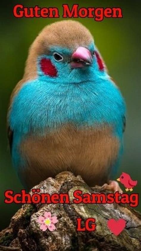 Der samstag ist das highlight des wochenendes. Einen Schönen Samstag morgen bilder - GBPicsBilder.com