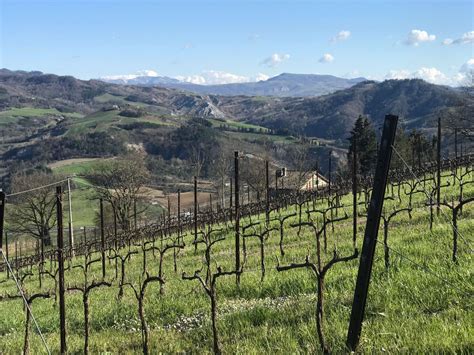 Discover Romagna: Hidden Italian Wine and Food Gem — Vero