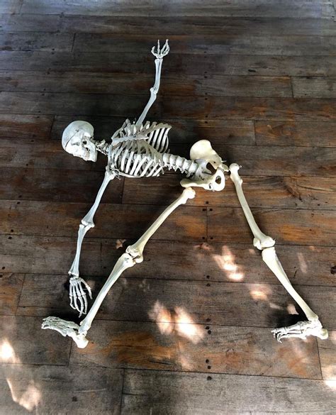 Whats The Last Pose The Skeleton Ever Practiced 💀 Decom Pose Ayyy