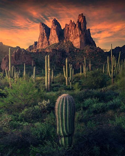 The Guardians Of The Superstition Mountains Arizona Photo Max Rive