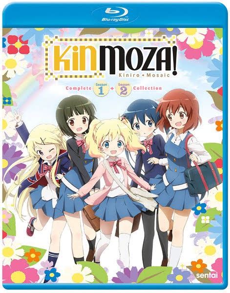 Anime Reviews 2010 2019 Kinmoza Seasons 1 And 2 Complete Collection
