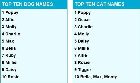 Are you looking for complementary names for your paired pets name. The animal zone: It's all over for Rover as pets get human ...