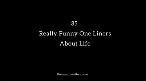 35 Really Funny One Liners About Life The Random Vibez