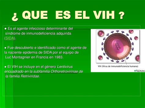 Ppt El Virus Del Sida El Vih Powerpoint Presentation Free