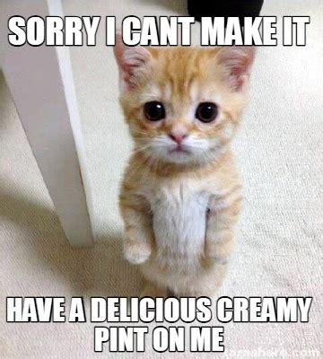 Meme Creator Funny Sorry I Cant Make It Have A Delicious Creamy Pint