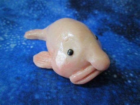 Baby blobfish song baby shark parody runforthecube no autotune cover song. A baby blob fish for all of you baby animal lovers! : aww