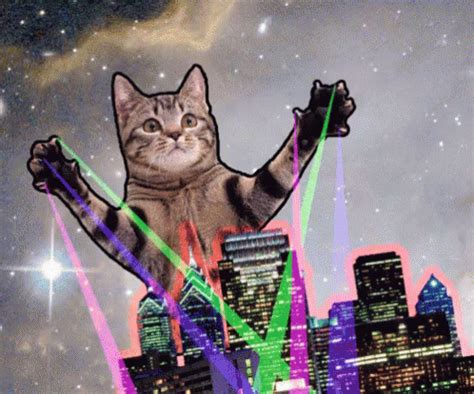 Laser Cat Animated Gif