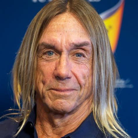 Young Ears Fresh Perspective Iggy Pop Considering Retirement