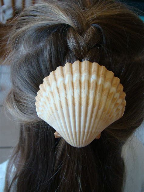 Shell Hair Clip Shells And Sand Sea Shells Cute Jewelry Hair Ideas