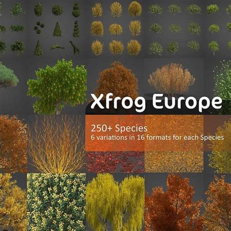 Xfrog Europe 3d Plant Tree And Fauna Models
