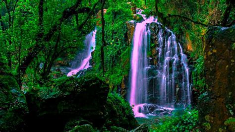 Animated Waterfalls Wallpapers Free Download 50 Free