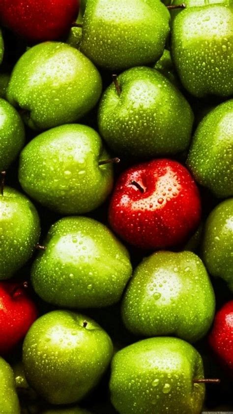 10 Common Examples Of Genetically Modified Food Buzz 2018