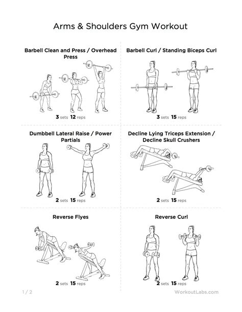 Toned & Strong Arms & Shoulders Gym Workout for Men ...