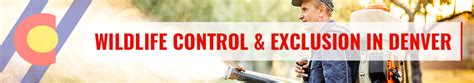 Because spiders feed on other insects, one of the most common forms of. Pest Control Services In Denver - Call Our Exterminators ...