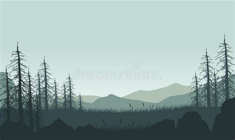 Magnificent Mountain View With Dry Pine Tree Branches Silhouette From