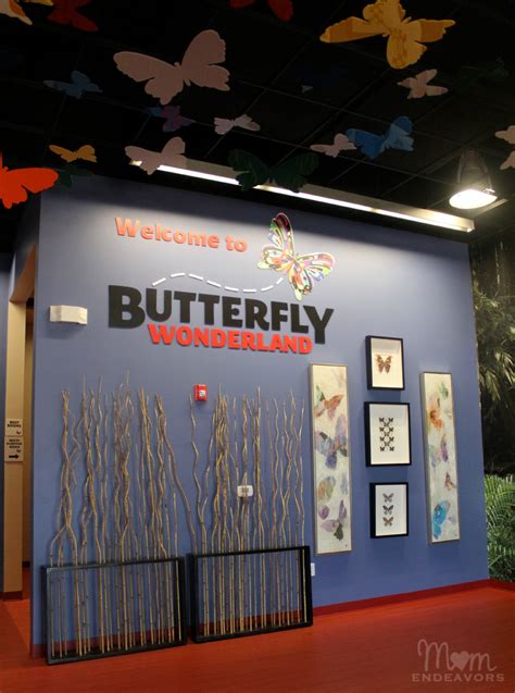 Butterfly Wonderland - New Attraction in Scottsdale, AZ