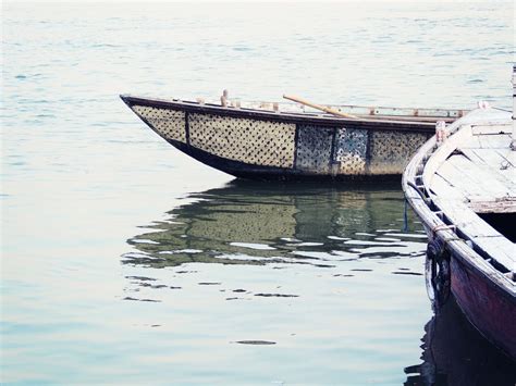 Free Images Sea Water Nature Outdoor Bird Wood Boat Rowboat