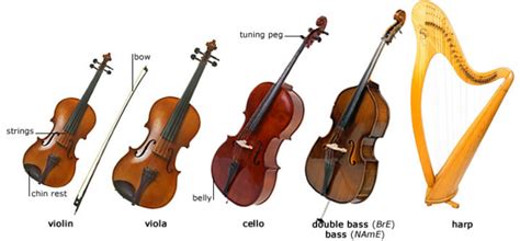 Strings Instrument Families