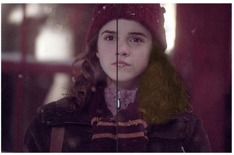 An In Depth Look At Hermione As Described In The “harry