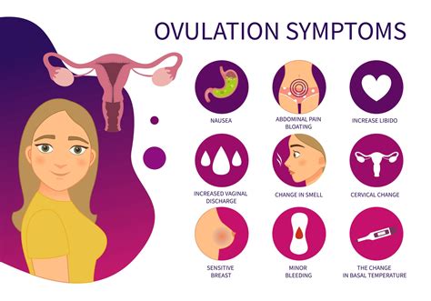 Jak rozpoznat ovulaci u žen příznaky příznaky a recenze