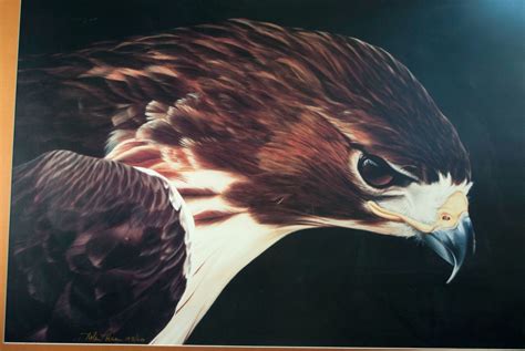 nolan haan limited edition numbered print signed red tail hawk 193 650 ebay hawk tattoo red