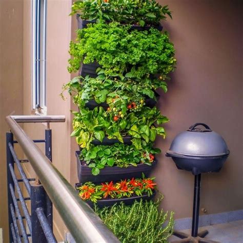 A Hydroponic Wall Garden Is An Ideal Way To Grow Herbs And Veggies At