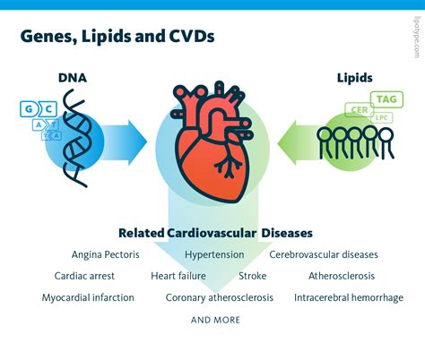 Multiomics In Cardiovascular Disease Multiomics With Lipotype Gmbh