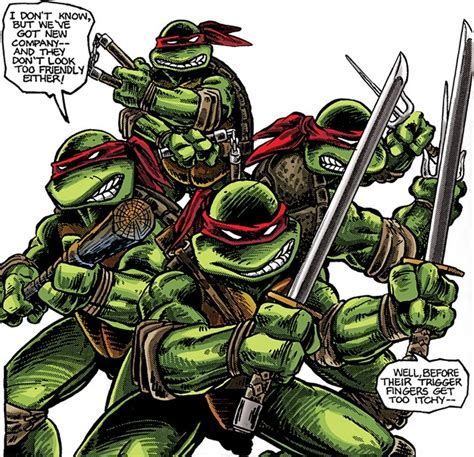 Teenage Mutant Ninja Turtles Mirage Comics Classic Profile