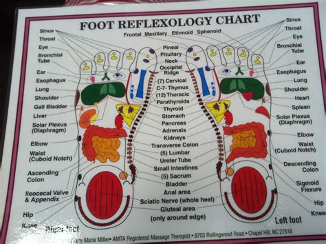 Reflexology Ideas Reflexology Reflexology Chart Foot Reflexology My