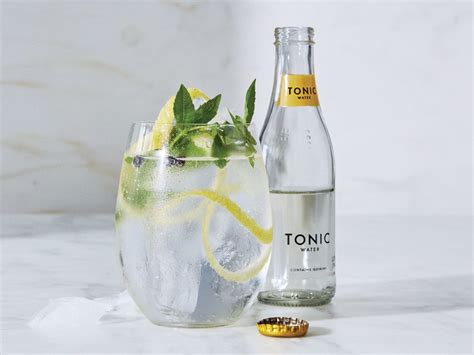 How To Make The Perfect Gin And Tonic According To José Andrés