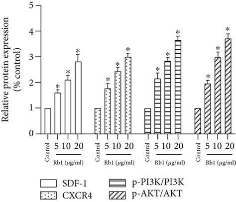 Effect Of Ginsenoside Rb1 On The Sdf 1cxcr4 Axis And Pi3kakt Pathway