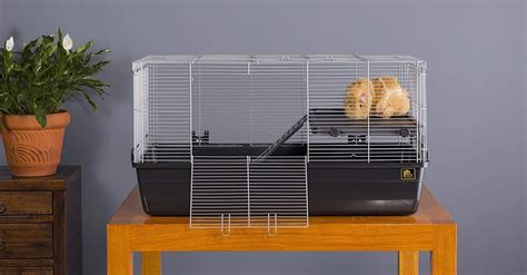 Top 10 Best Hamster Cages In 2022 Reviews Buying Guide
