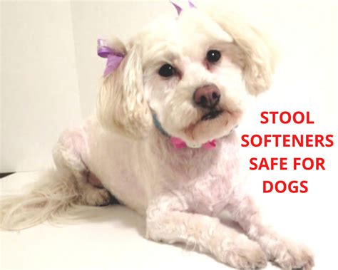 Dogs Luv Us And We Luv Them Stool Softeners Safe For Dogs