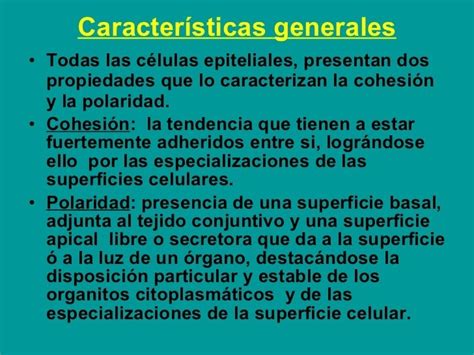 Cuales Son Las Caracteristicas